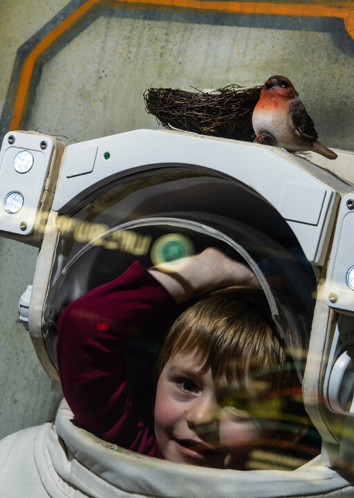 A boy in an astronaut suit with a bird nesting on top of the helmet